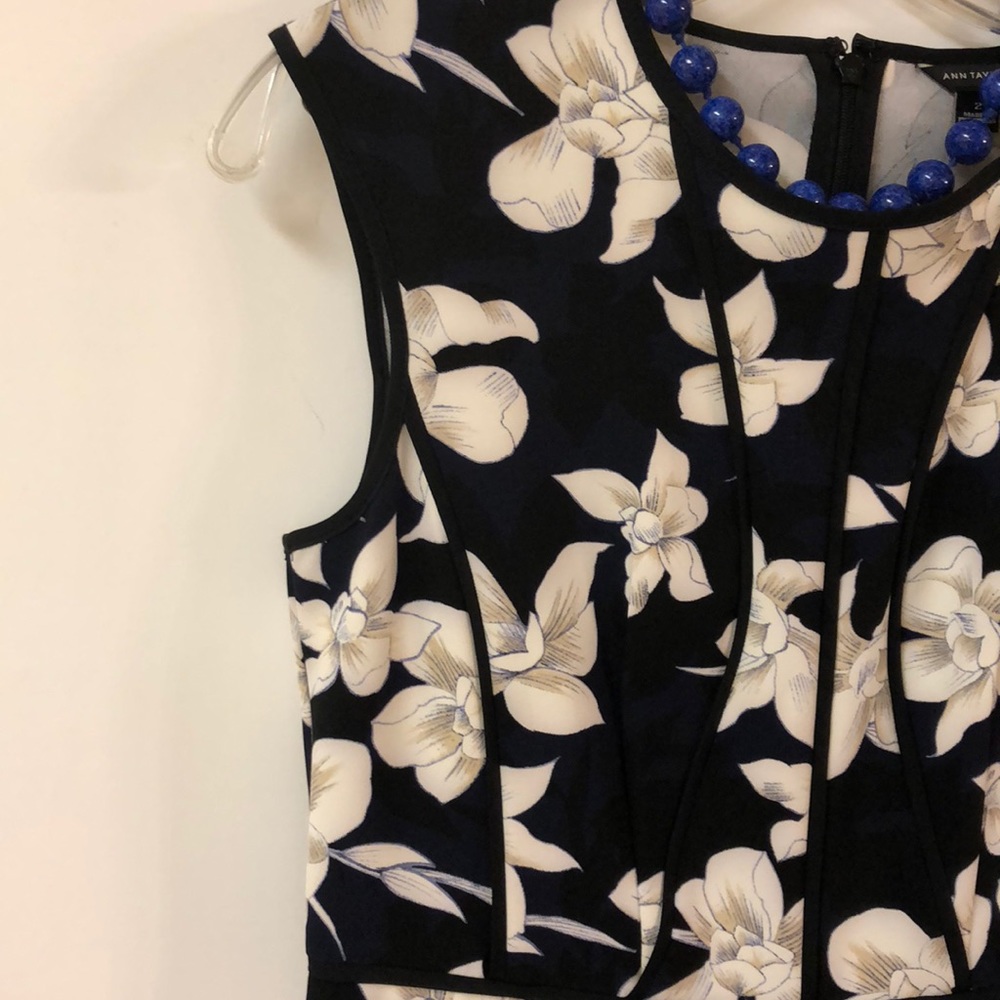 Striking Drees by Ann Taylor.